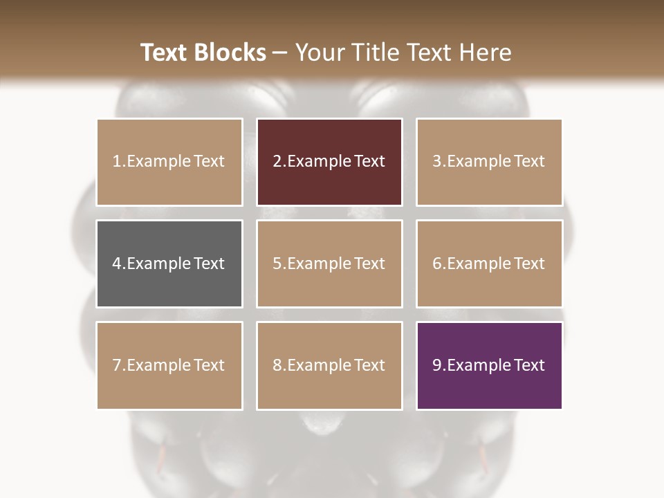 Fresh Berry Studio PowerPoint Template