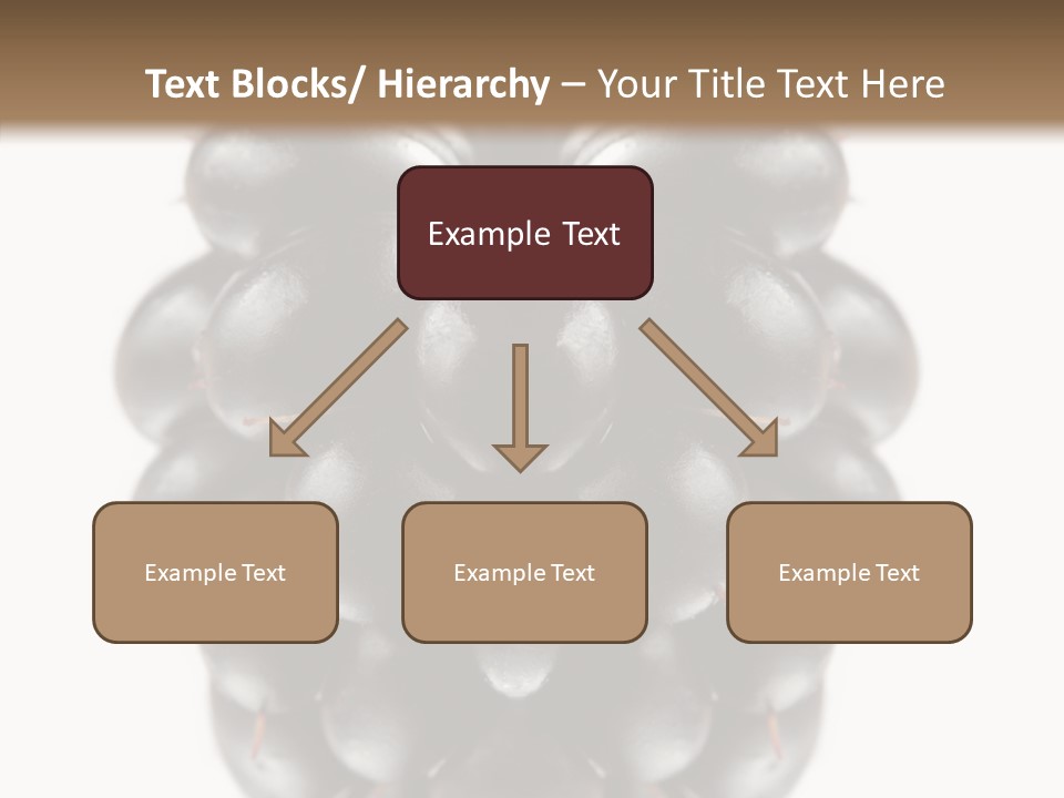 Fresh Berry Studio PowerPoint Template