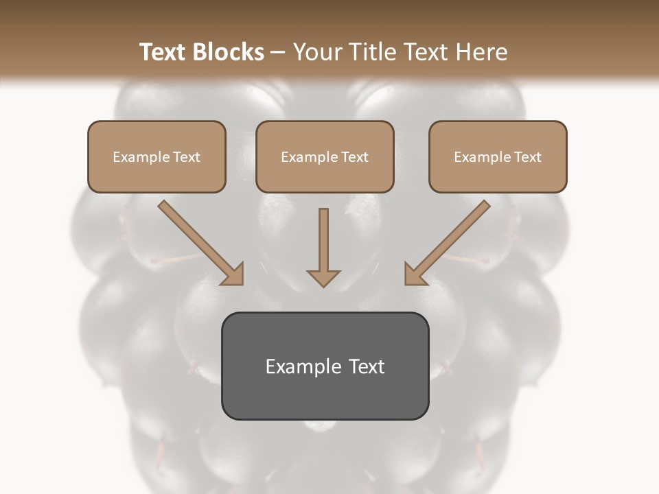 Fresh Berry Studio PowerPoint Template