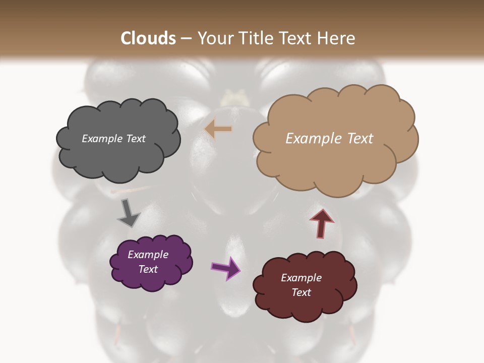 Fresh Berry Studio PowerPoint Template