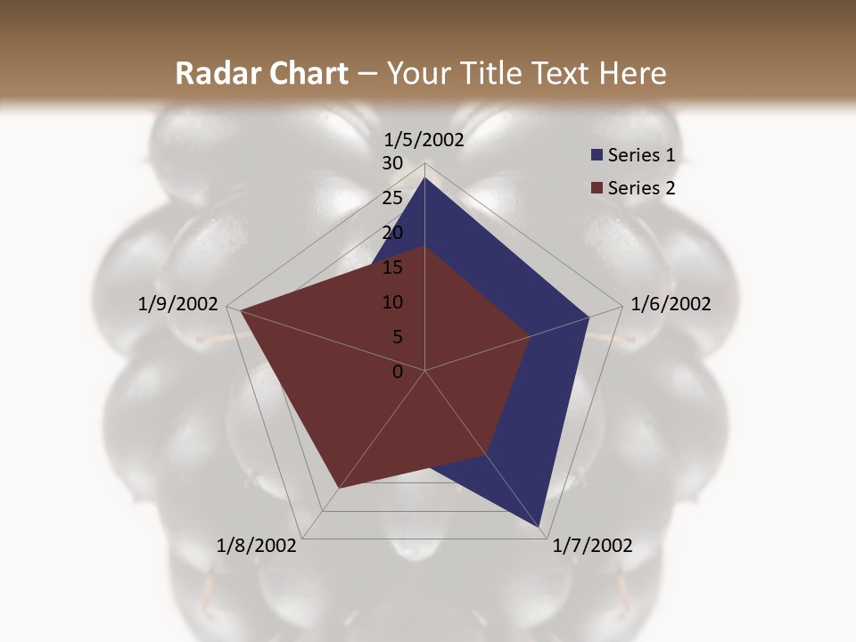 Fresh Berry Studio PowerPoint Template