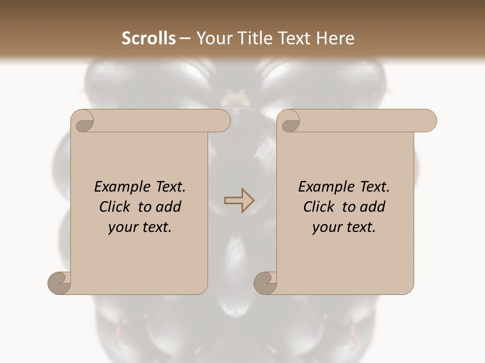 Fresh Berry Studio PowerPoint Template