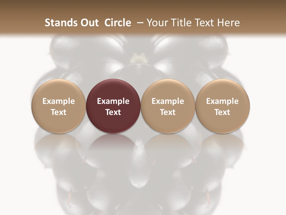 Fresh Berry Studio PowerPoint Template