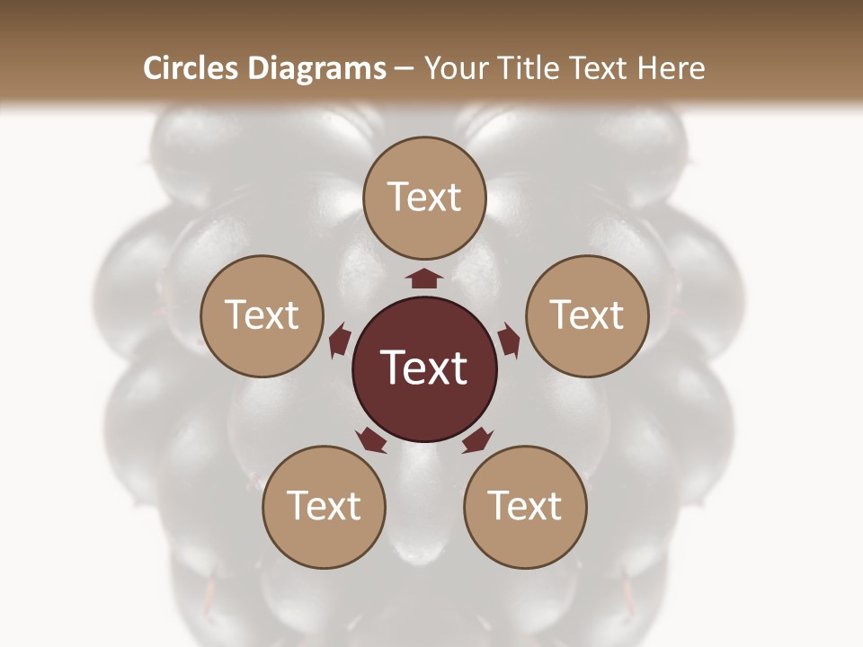 Fresh Berry Studio PowerPoint Template