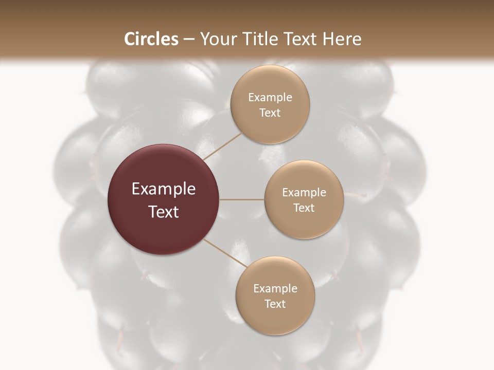 Fresh Berry Studio PowerPoint Template