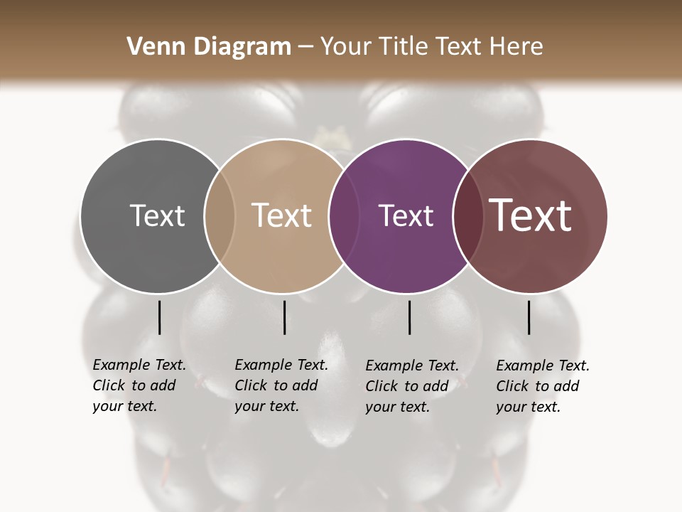 Fresh Berry Studio PowerPoint Template