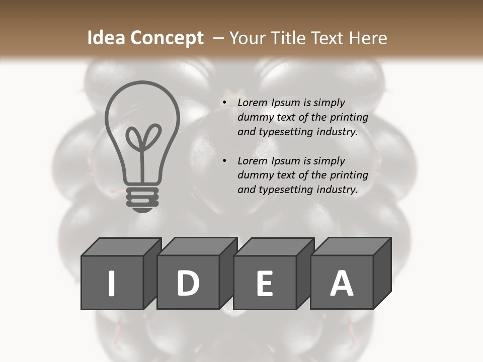 Fresh Berry Studio PowerPoint Template