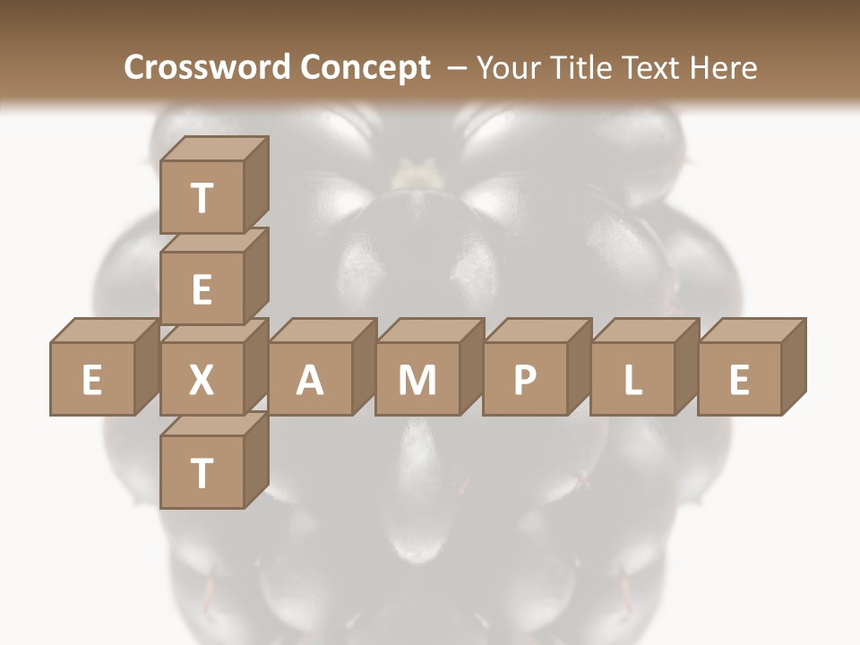 Fresh Berry Studio PowerPoint Template
