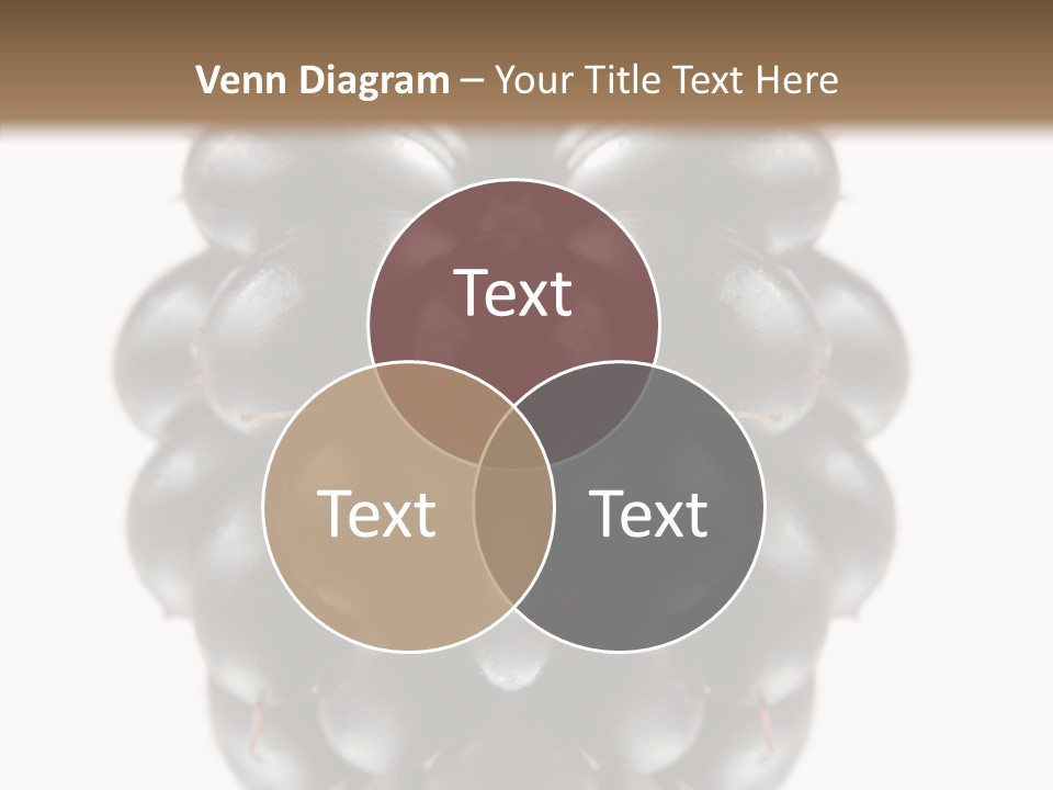 Fresh Berry Studio PowerPoint Template