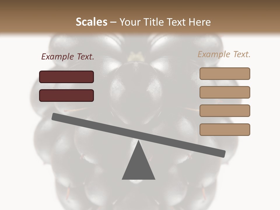 Fresh Berry Studio PowerPoint Template