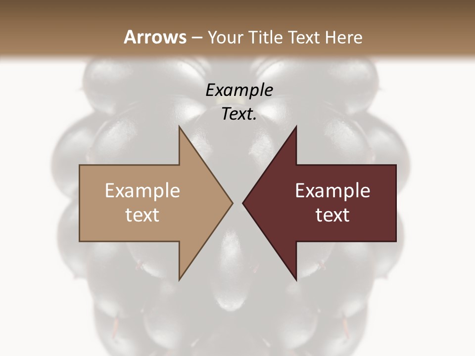 Fresh Berry Studio PowerPoint Template