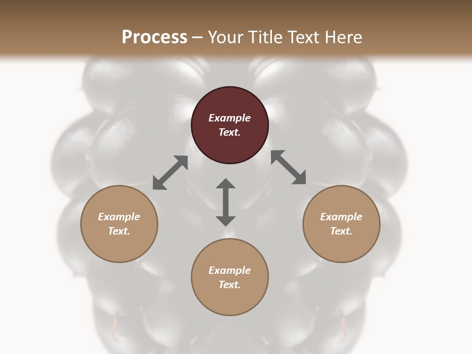 Fresh Berry Studio PowerPoint Template