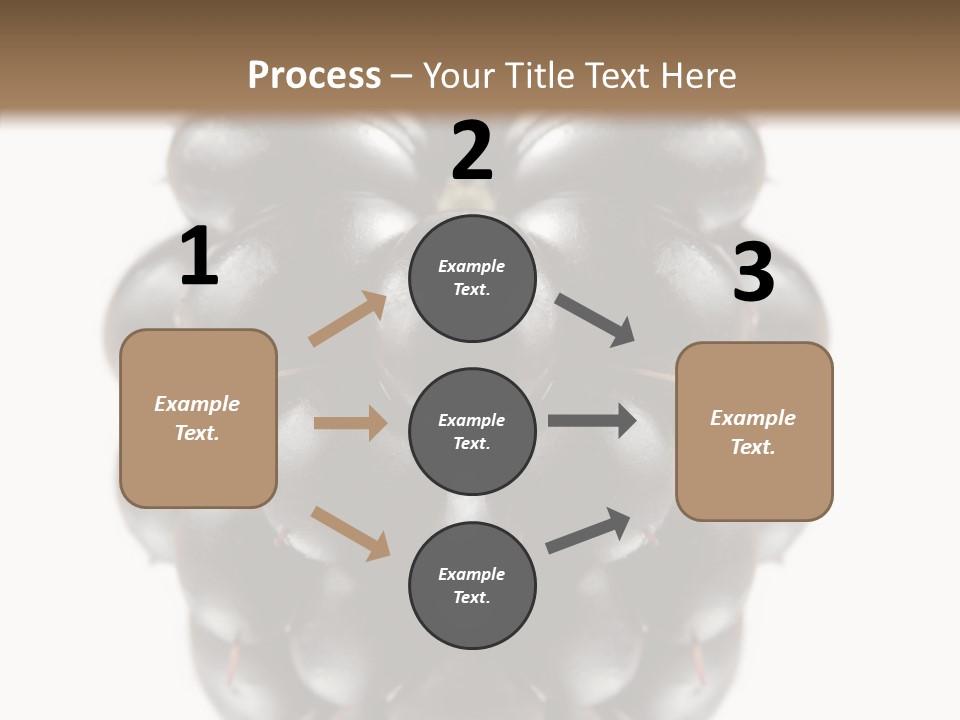 Fresh Berry Studio PowerPoint Template