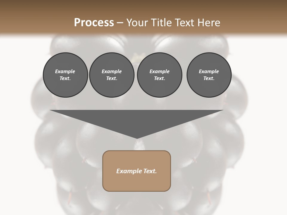 Fresh Berry Studio PowerPoint Template