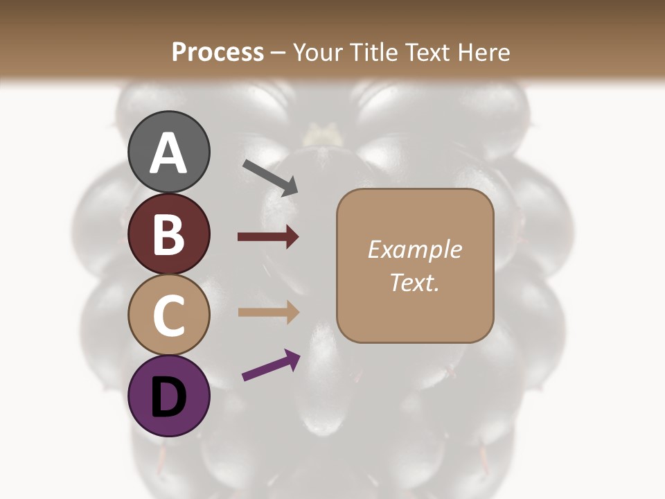 Fresh Berry Studio PowerPoint Template