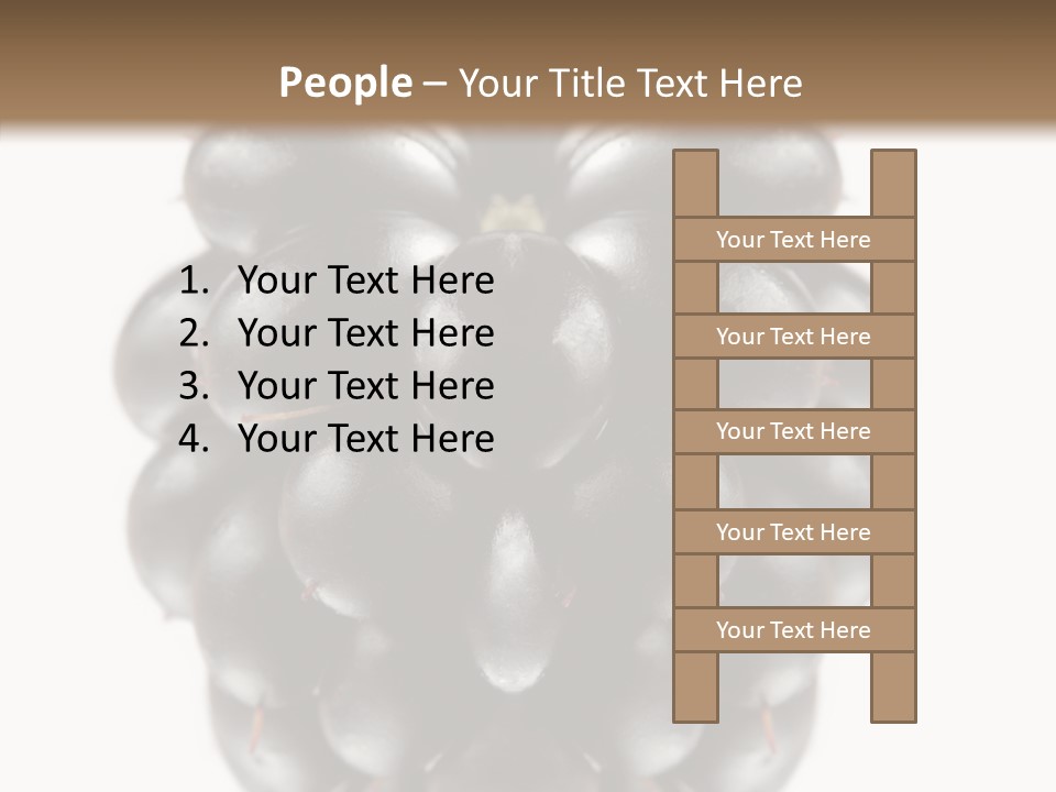 Fresh Berry Studio PowerPoint Template