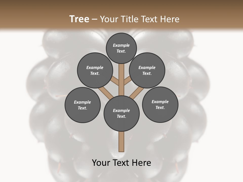 Fresh Berry Studio PowerPoint Template