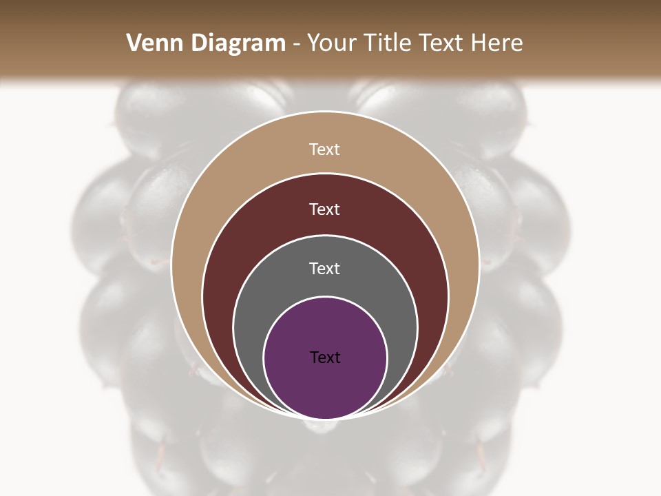 Fresh Berry Studio PowerPoint Template