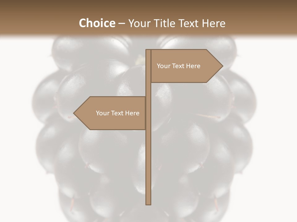 Fresh Berry Studio PowerPoint Template