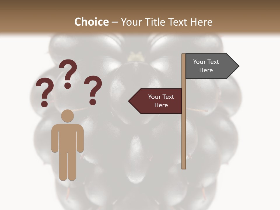 Fresh Berry Studio PowerPoint Template