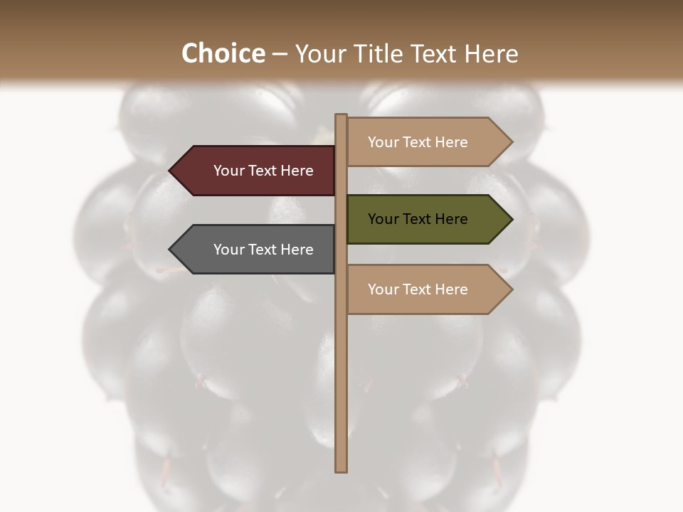Fresh Berry Studio PowerPoint Template