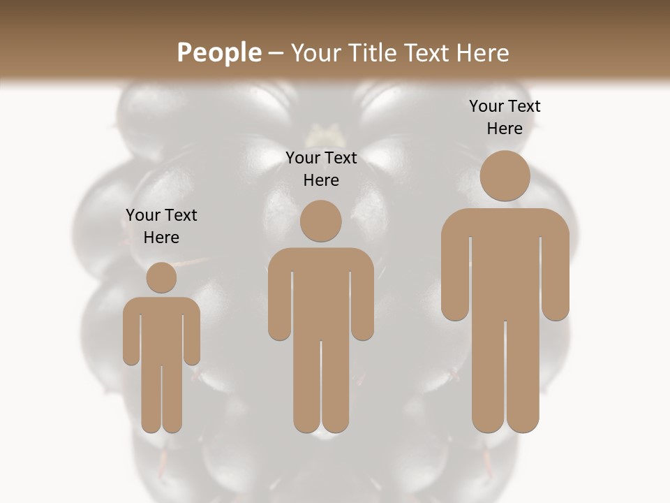 Fresh Berry Studio PowerPoint Template