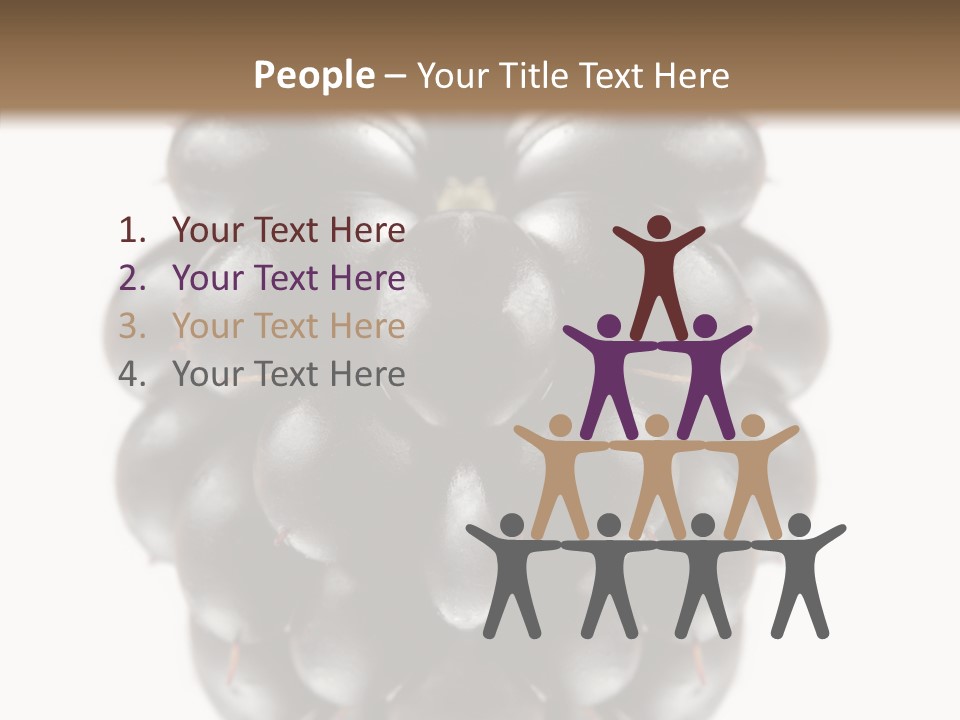 Fresh Berry Studio PowerPoint Template