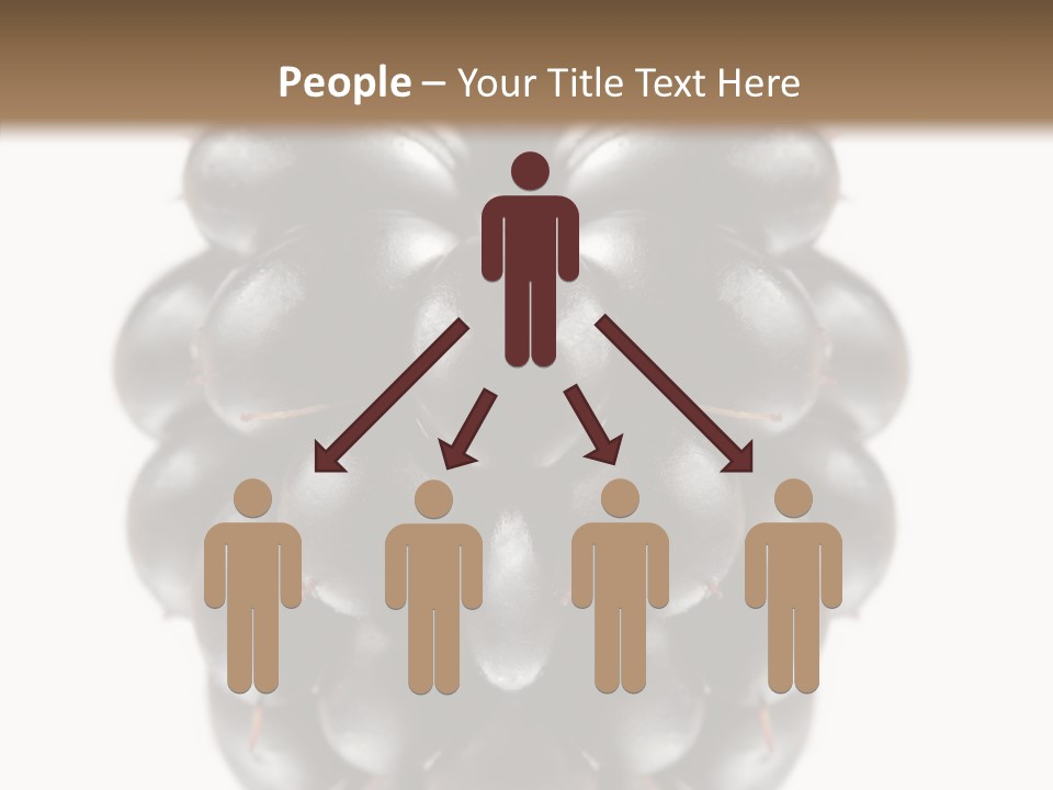 Fresh Berry Studio PowerPoint Template