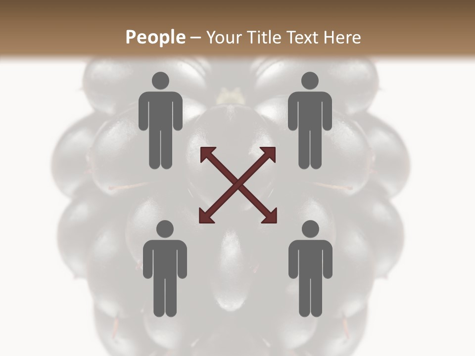 Fresh Berry Studio PowerPoint Template