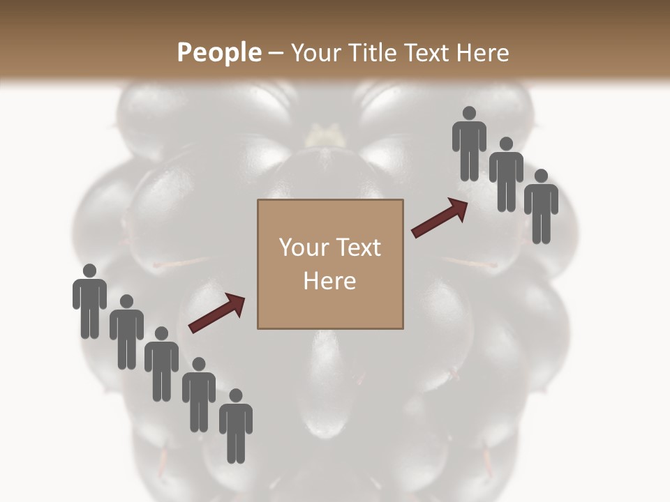 Fresh Berry Studio PowerPoint Template