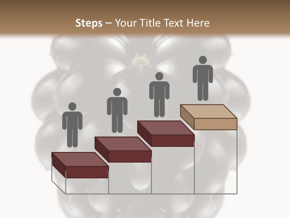 Fresh Berry Studio PowerPoint Template