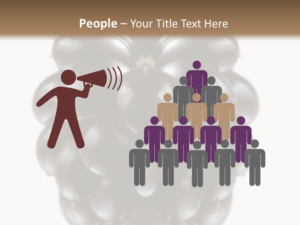 Fresh Berry Studio PowerPoint Template