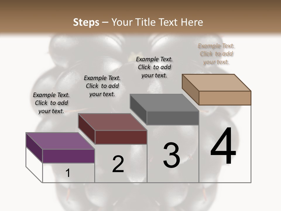 Fresh Berry Studio PowerPoint Template