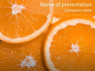 Circle Bright Tropical PowerPoint Template