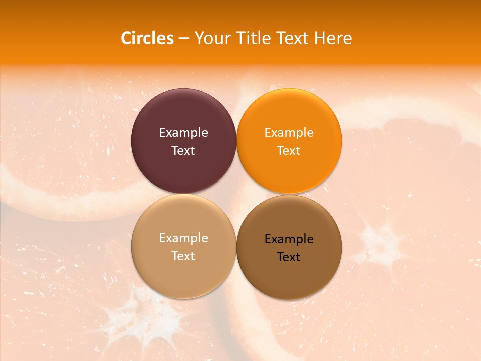 Circle Bright Tropical PowerPoint Template