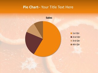 Circle Bright Tropical PowerPoint Template