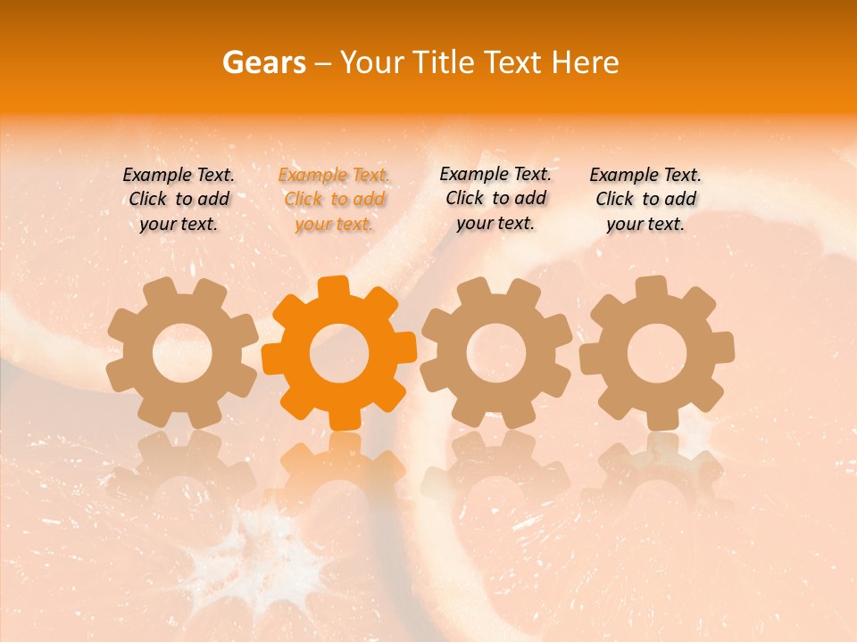 Circle Bright Tropical PowerPoint Template