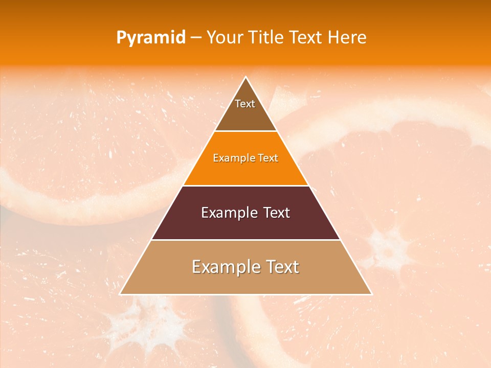 Circle Bright Tropical PowerPoint Template