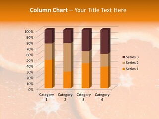 Circle Bright Tropical PowerPoint Template