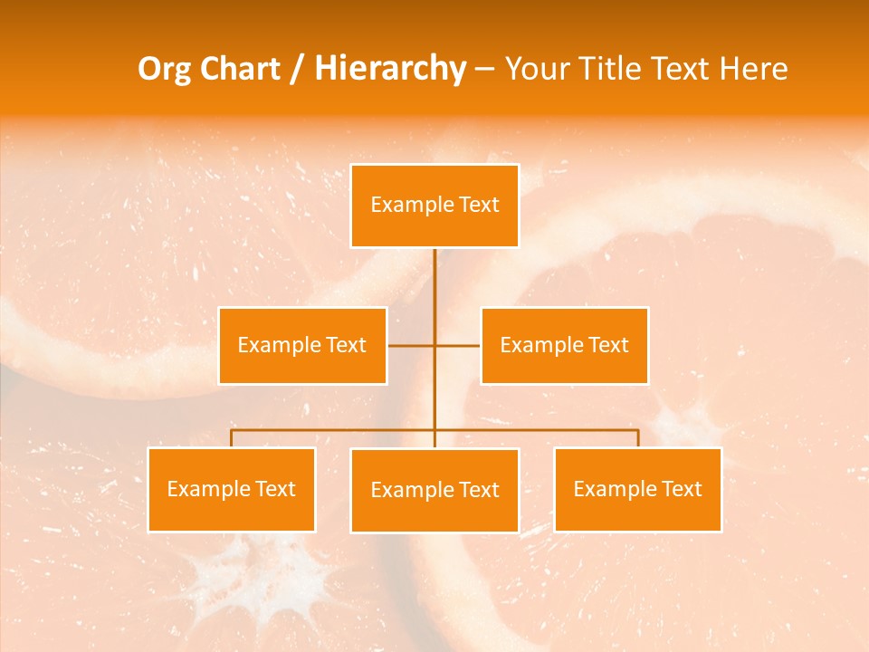 Circle Bright Tropical PowerPoint Template