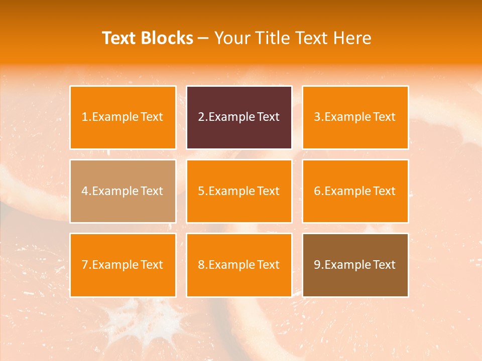 Circle Bright Tropical PowerPoint Template