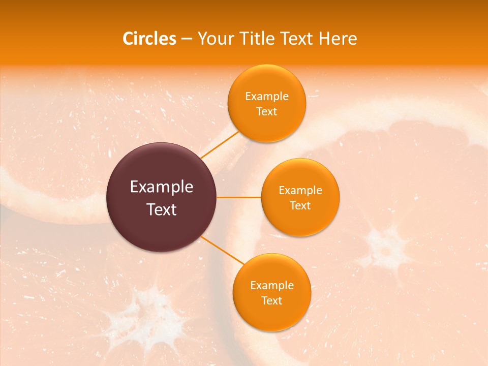 Circle Bright Tropical PowerPoint Template