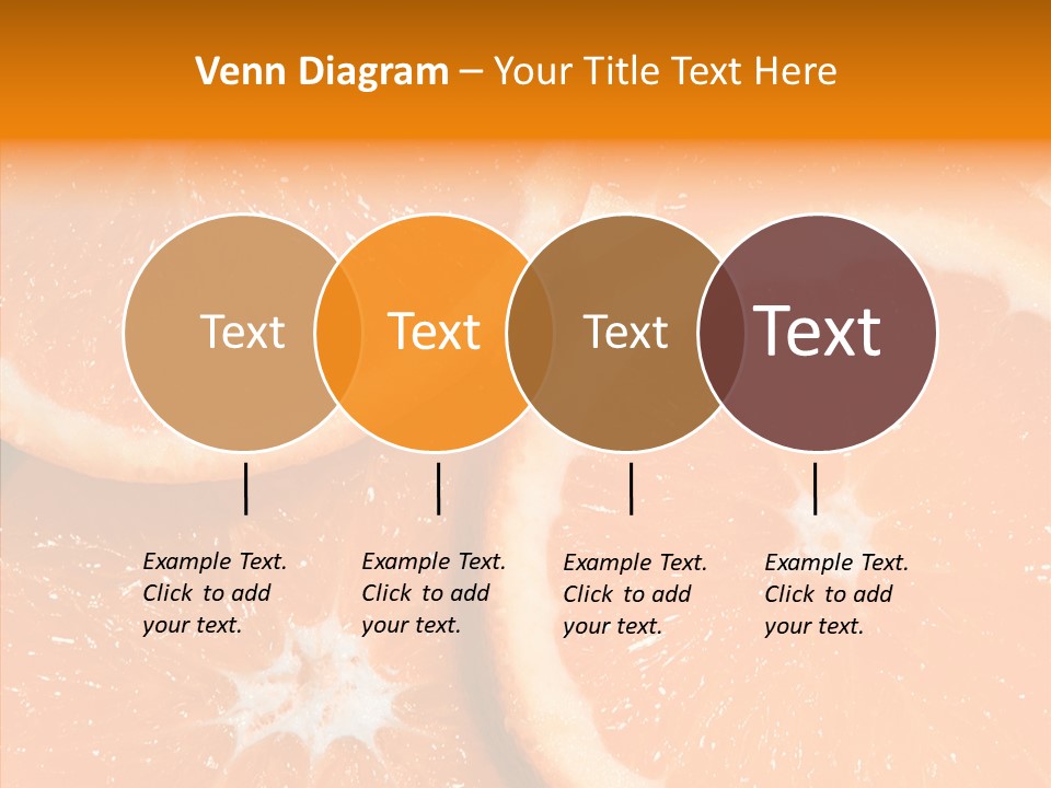 Circle Bright Tropical PowerPoint Template
