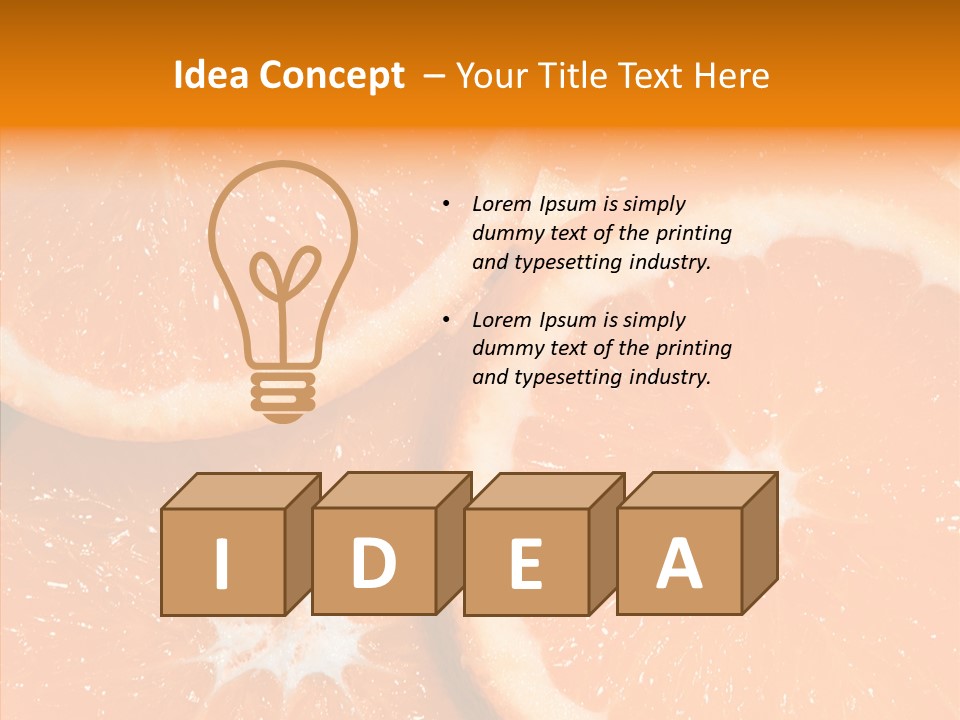 Circle Bright Tropical PowerPoint Template