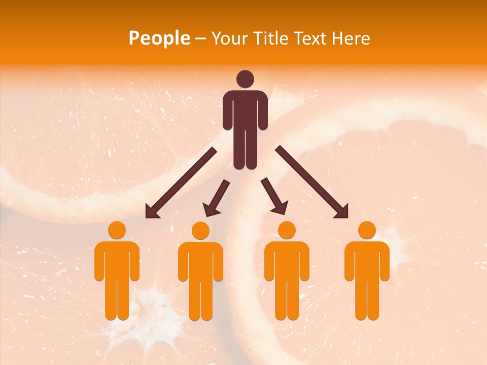 Circle Bright Tropical PowerPoint Template