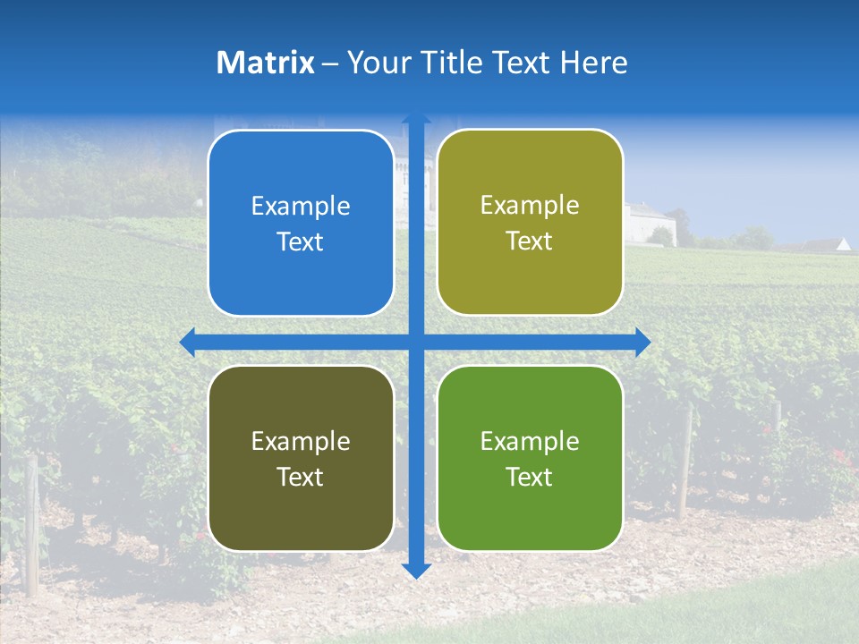 Rose Rully France PowerPoint Template