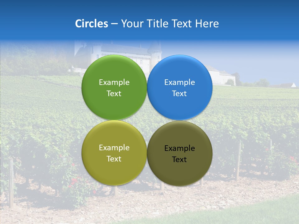 Rose Rully France PowerPoint Template