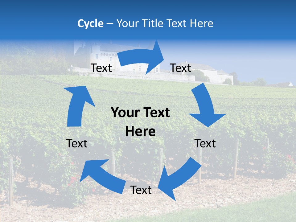 Rose Rully France PowerPoint Template