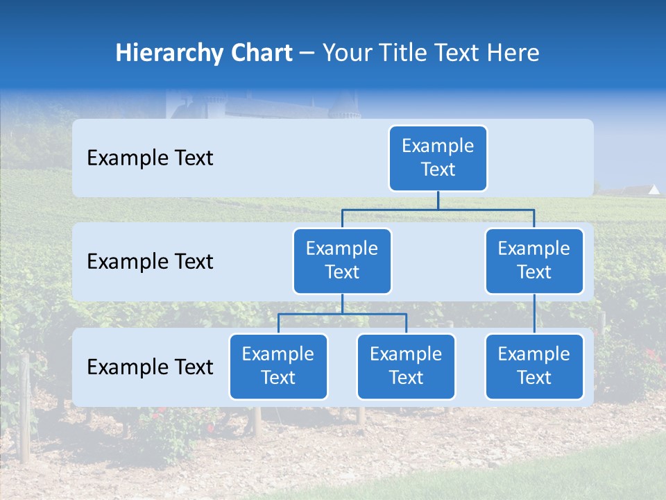 Rose Rully France PowerPoint Template