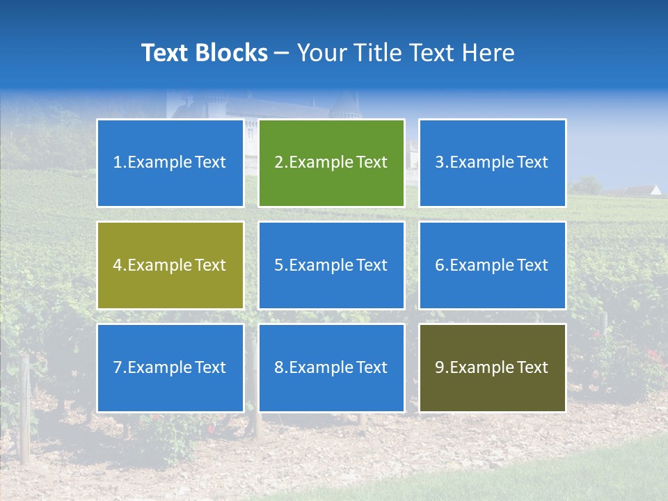 Rose Rully France PowerPoint Template